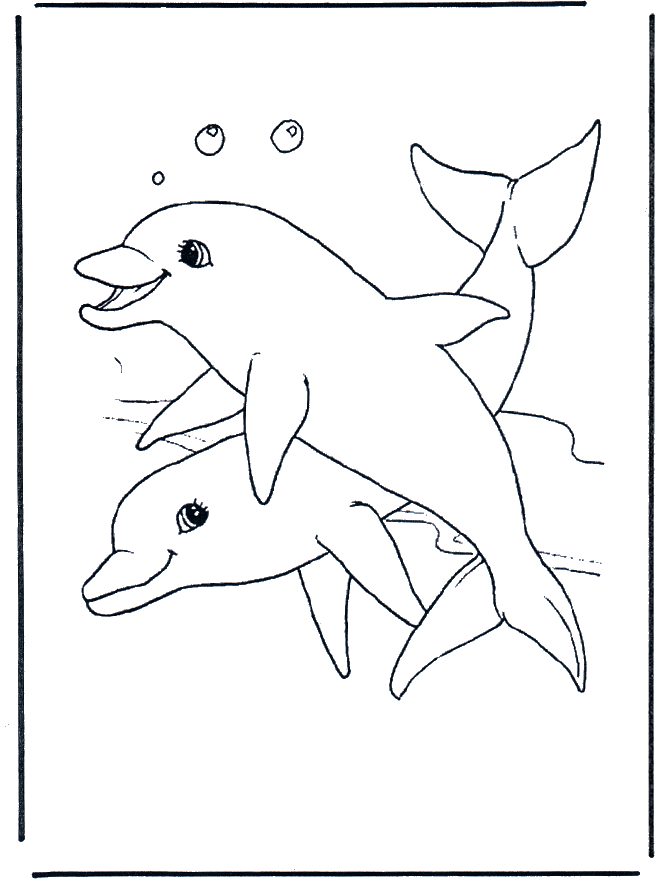 Delfiny 1 - Zwierzęta wodne