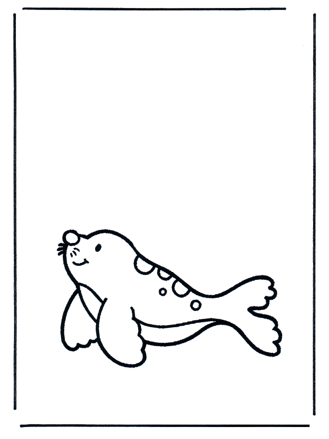 Foka 1 - Zwierzęta wodne