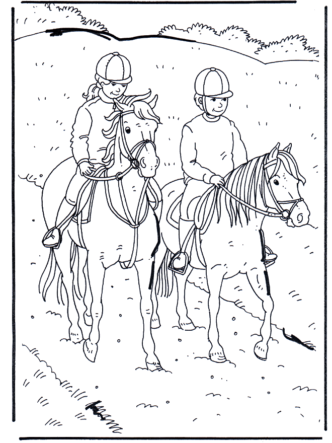 Jazda na koniu 1 - Koń