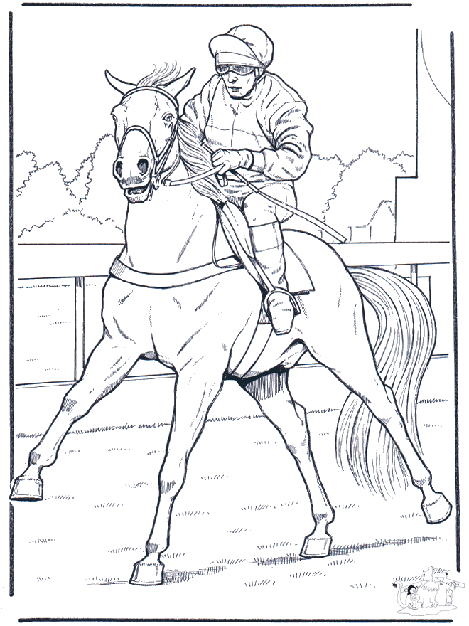 Jockey na Koniu - Koń