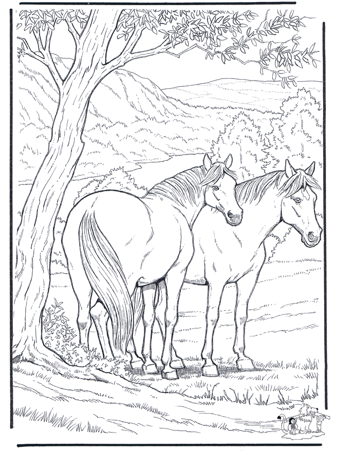 Kolorowanki koń - Koń
