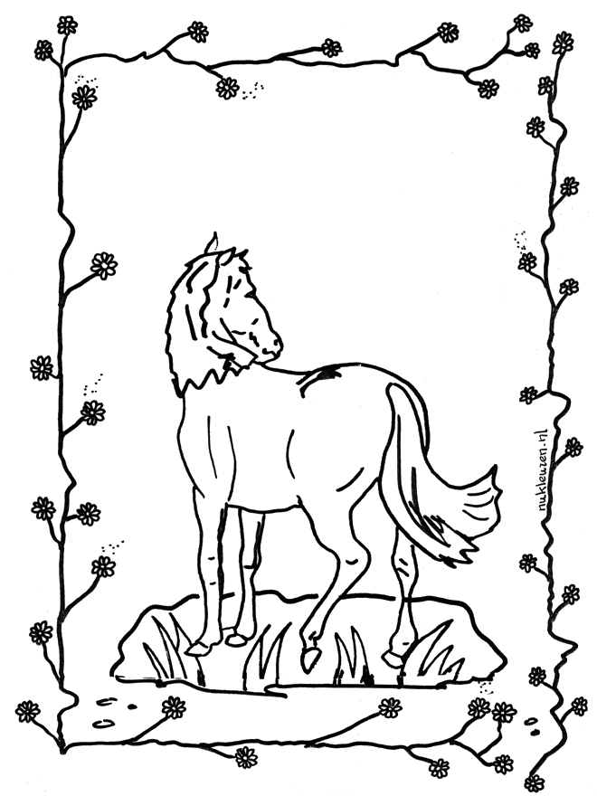 Koń 2 - Koń