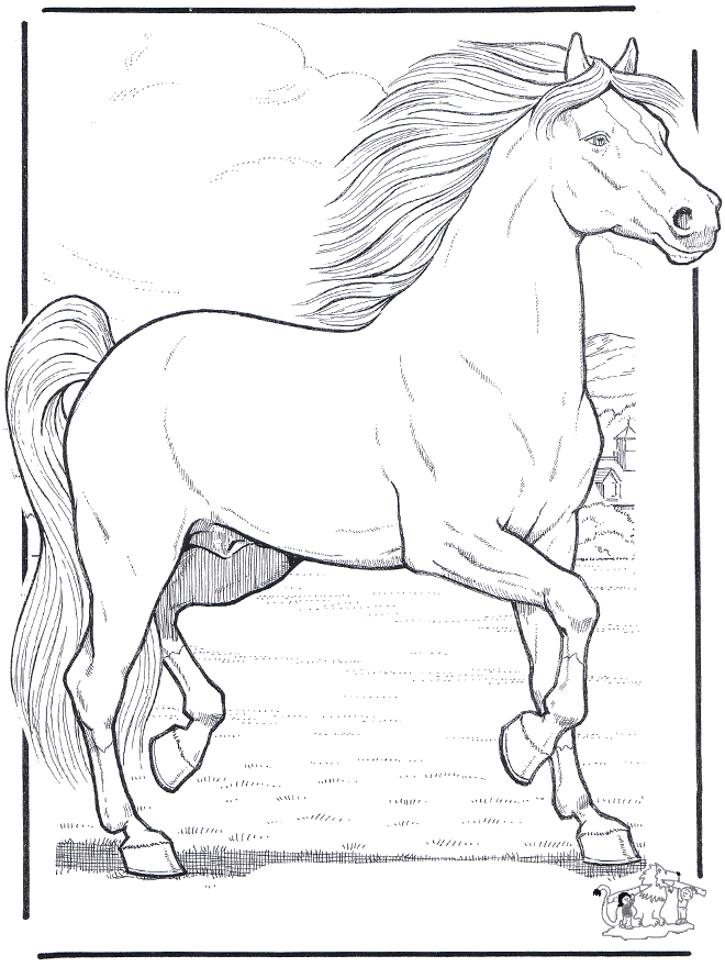 Koń 3 - Koń