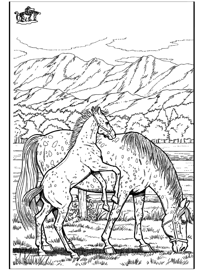 Koń 6 - Koń