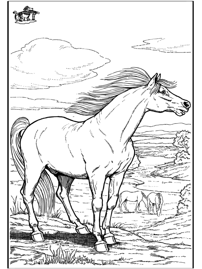 Koń 9 - Koń