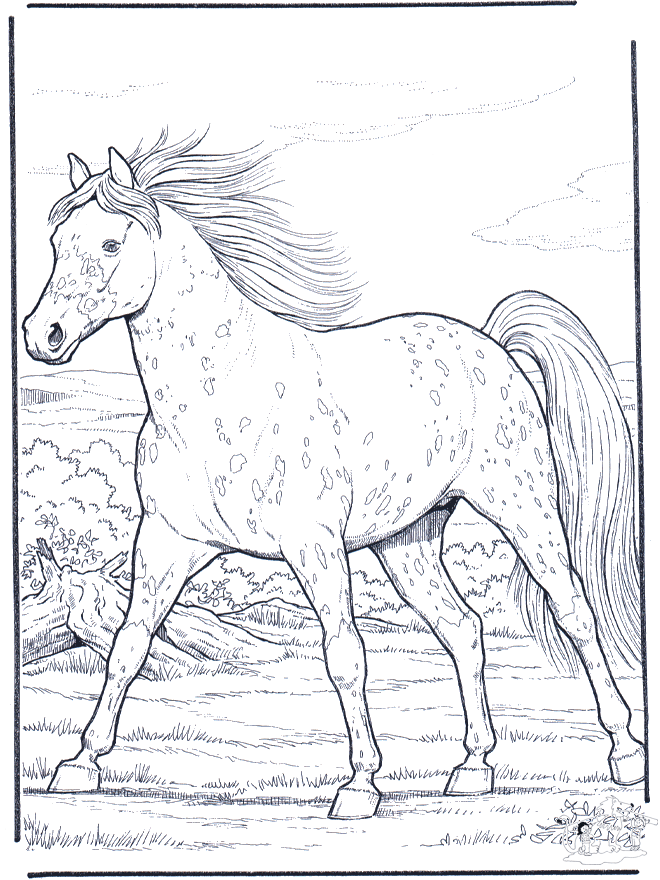 Koń w Galopie - Koń