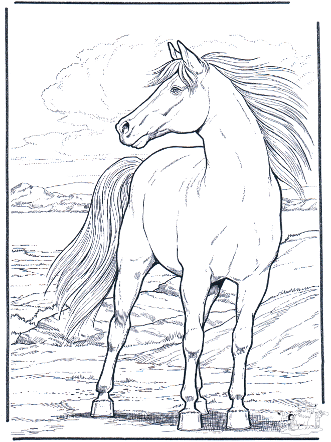 Koń w Wietrze - Koń