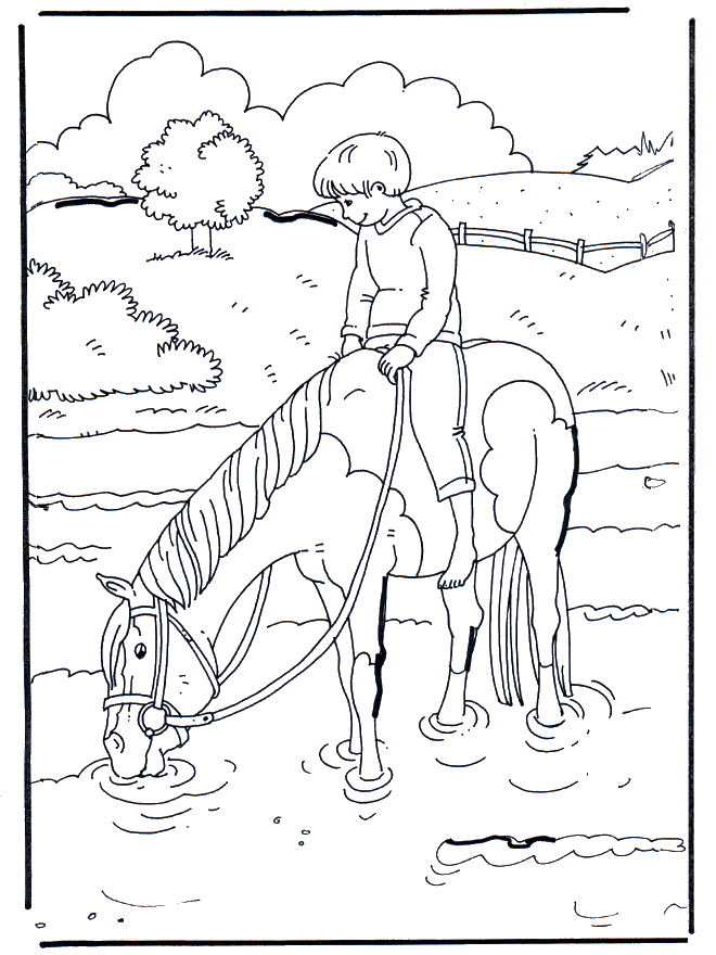 Koń w wodzie 1 - Koń