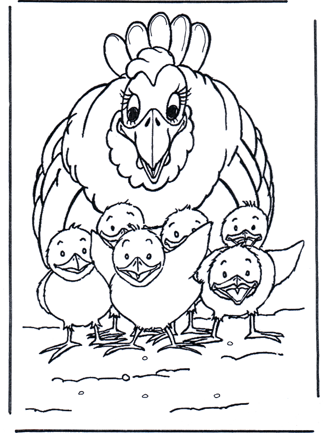 Kura z kurczakami - Zwierzęta domowe i Gospodarstwo