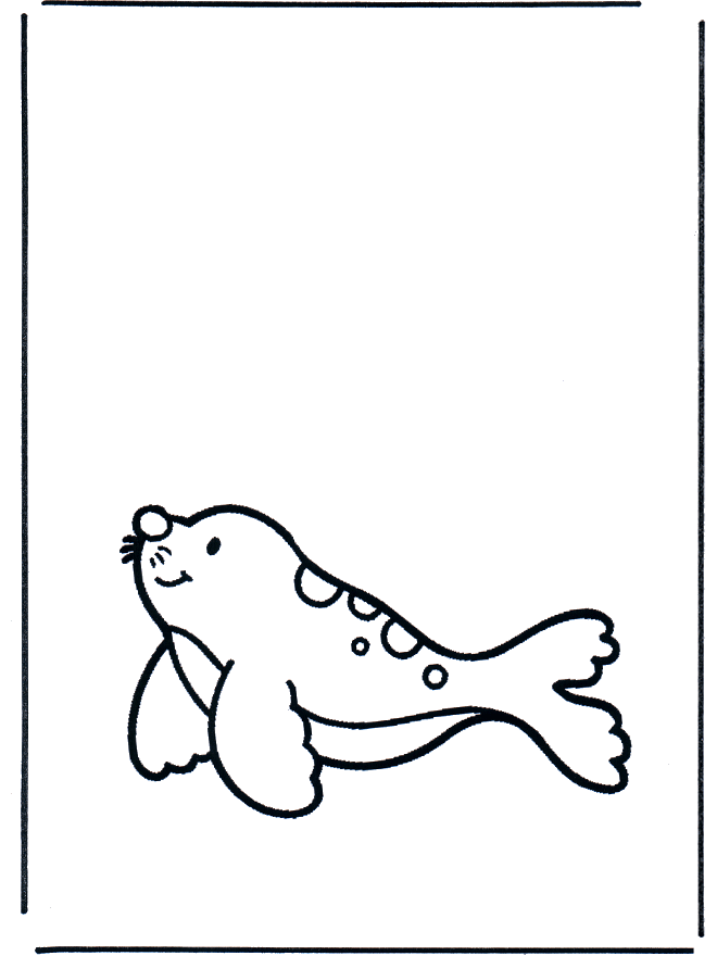 Mała foka - Zwierzęta