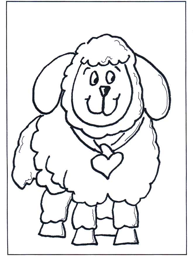 Mała owieczka - Zwierzęta