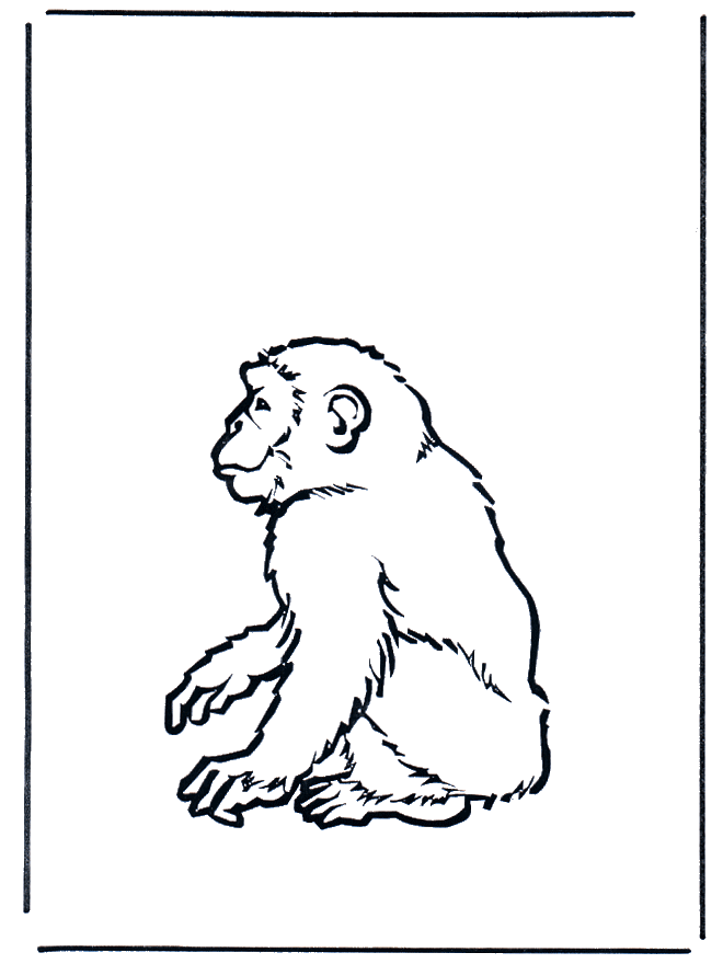 Małpa 2 - Ogród zoologiczny