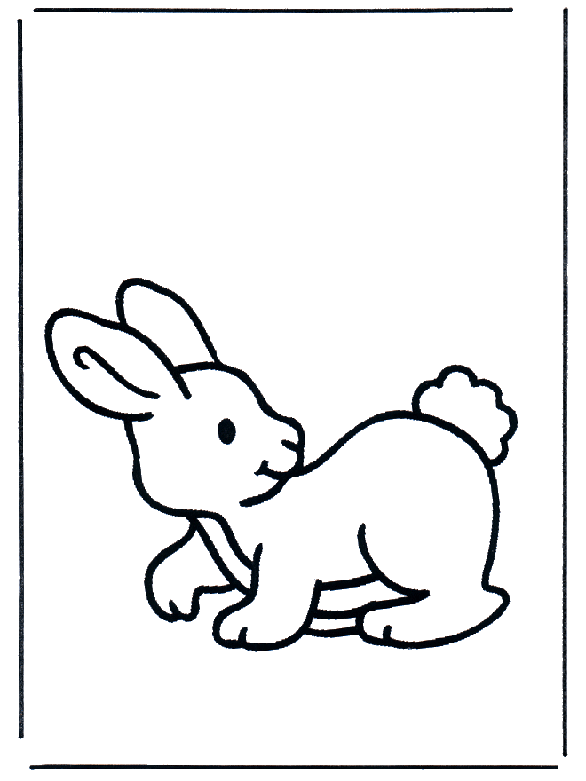 Mały królik 2 - Zwierzęta