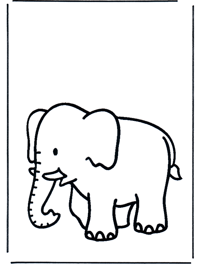 Mały słonik - Zwierzęta