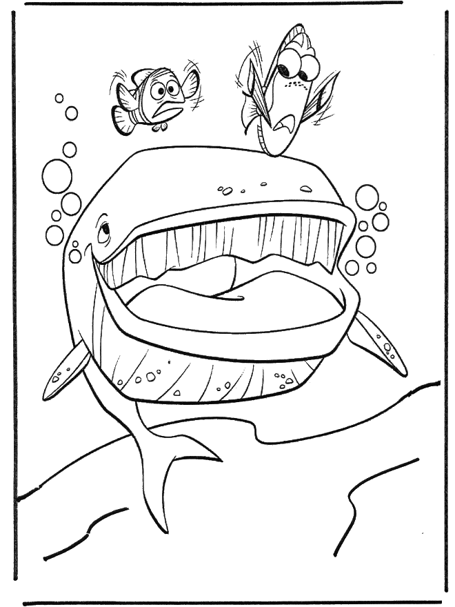 Marlin i Dory - Nemo