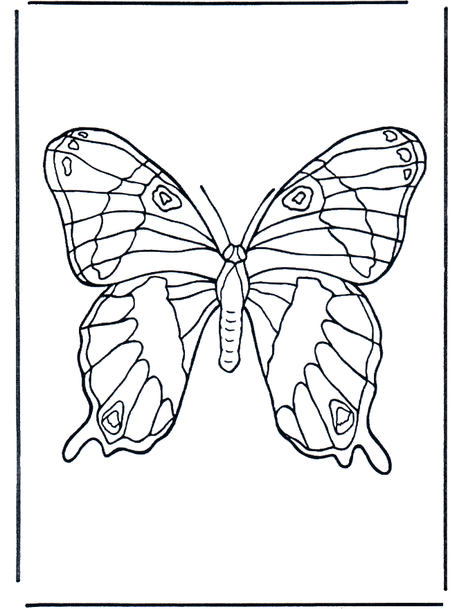 Motyl 1 - Owady