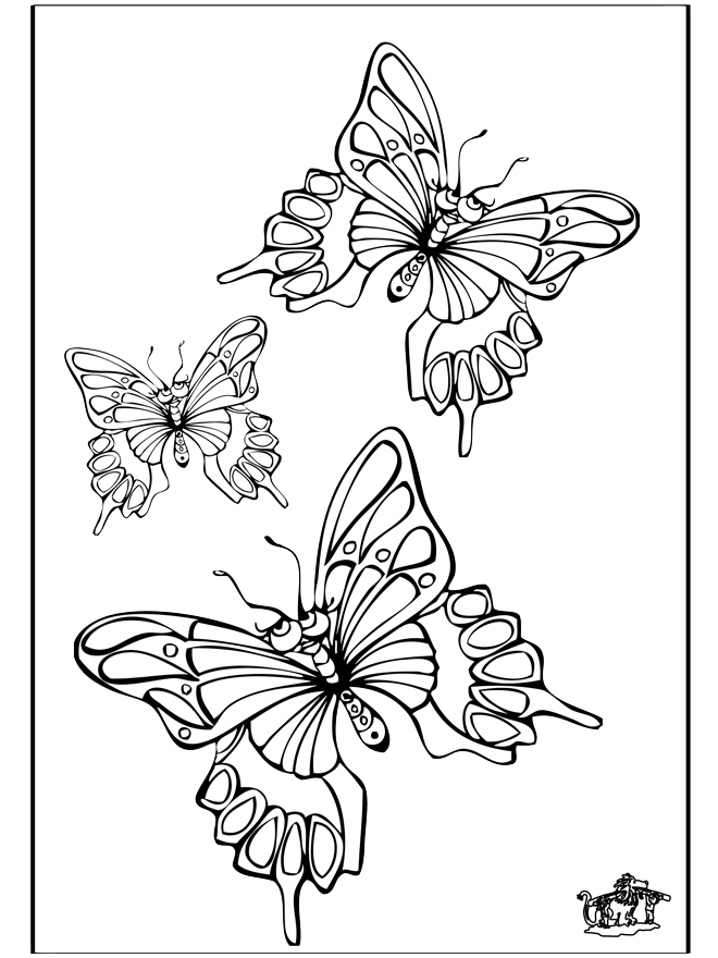 Motyl 5 - Owady