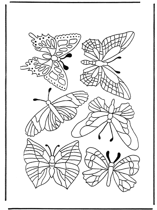 Motyle 1 - Owady