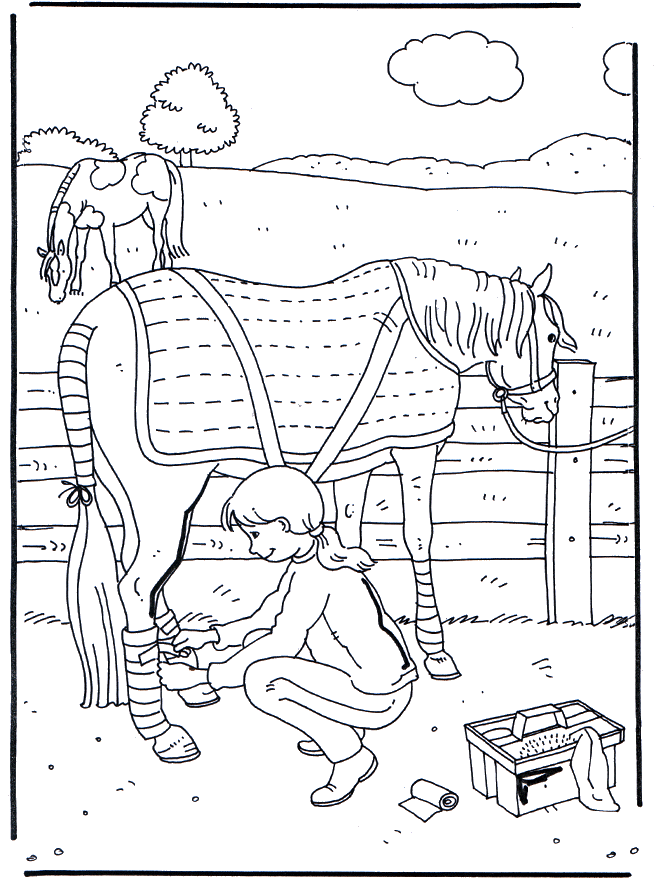 Opieka nad koniem - Koń