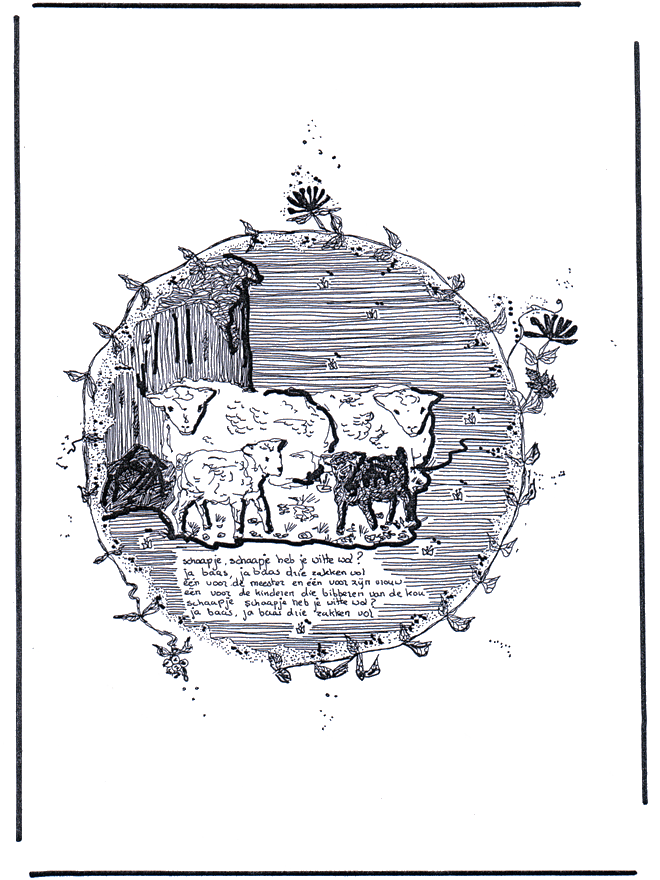 Owce - Zwierzęta domowe i Gospodarstwo