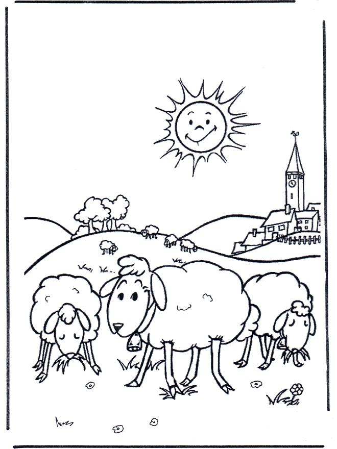Owce na łące - W gospodarstwie