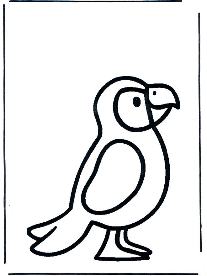 Papuga 1 - Ptaki