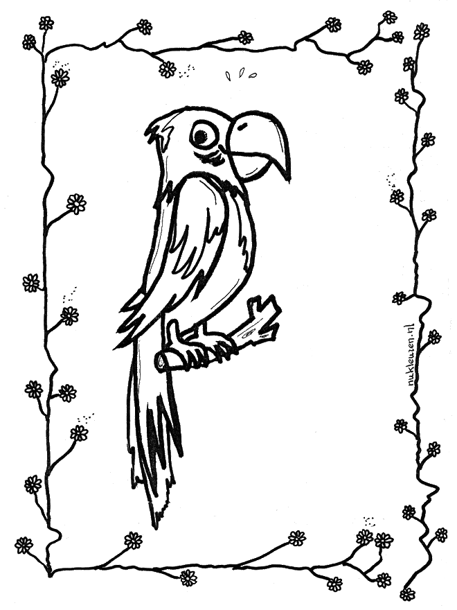 Papuga na patyku - Ptaki
