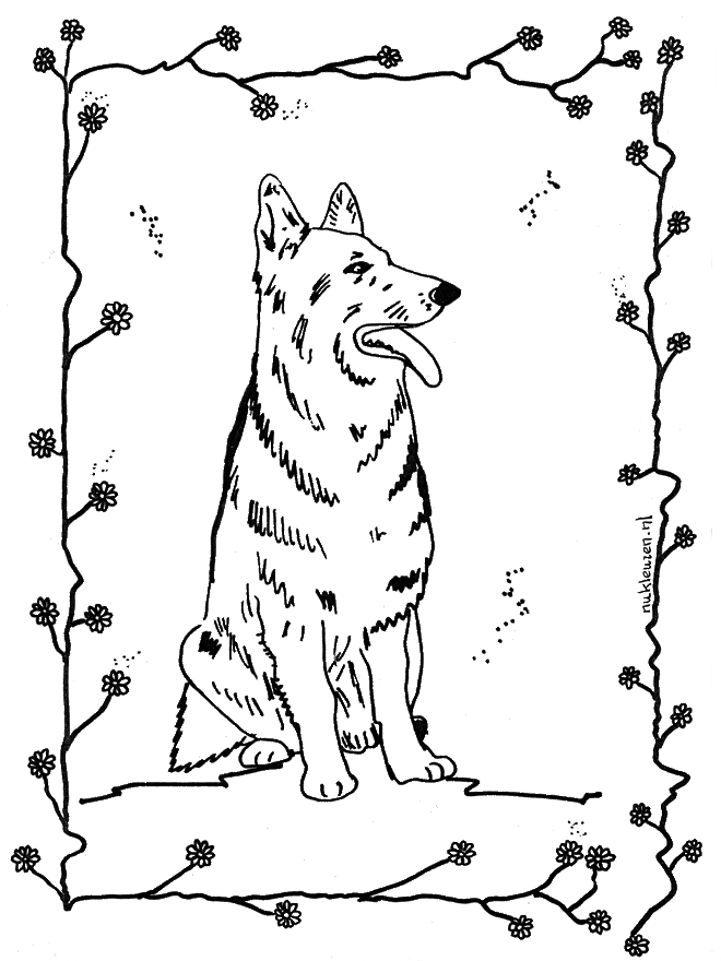 Pies 4 - Zwierzęta domowe i Gospodarstwo