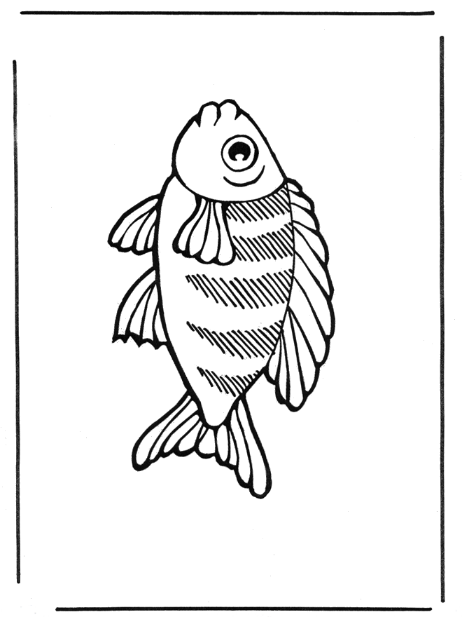 Ryba 2 - Zwierzęta wodne