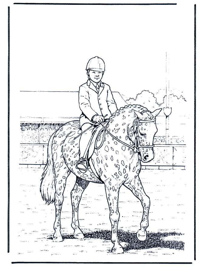 Tresura - Koń