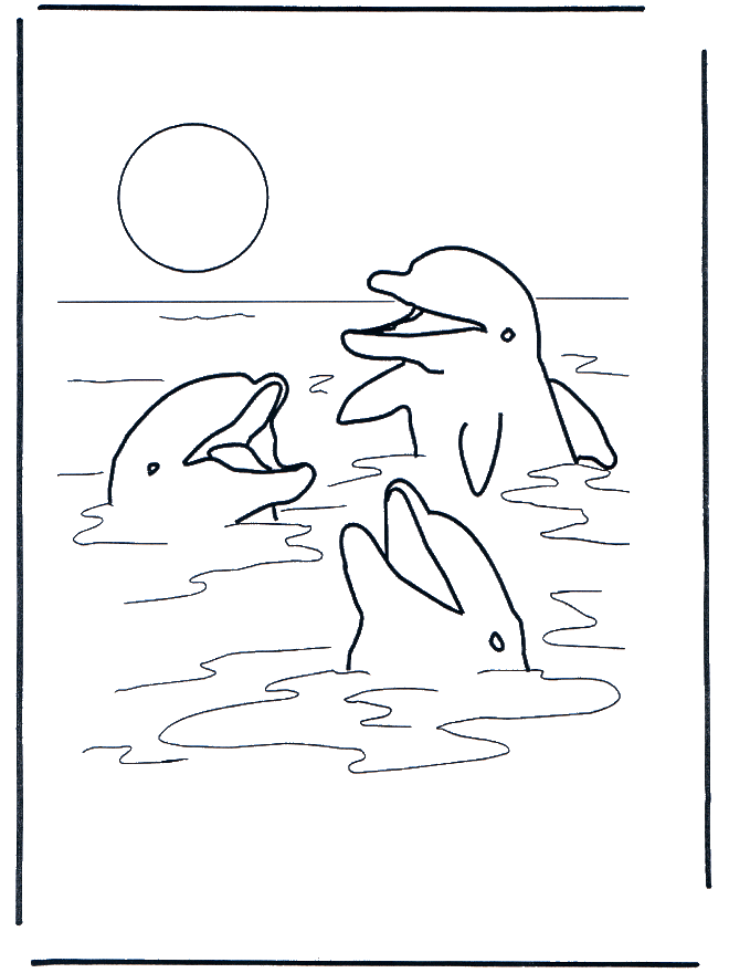 Trzy delfiny - Zwierzęta wodne
