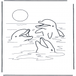Zwierzęta - Trzy delfiny