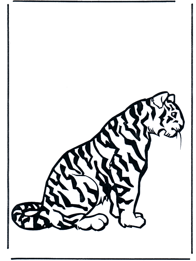 Tygrys 2 - Kotowate