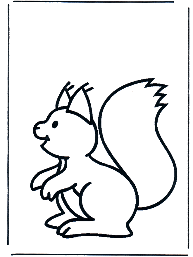 Wiewiórka 1 - Gryzonie