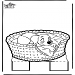 WykłÃ³wanka Pies