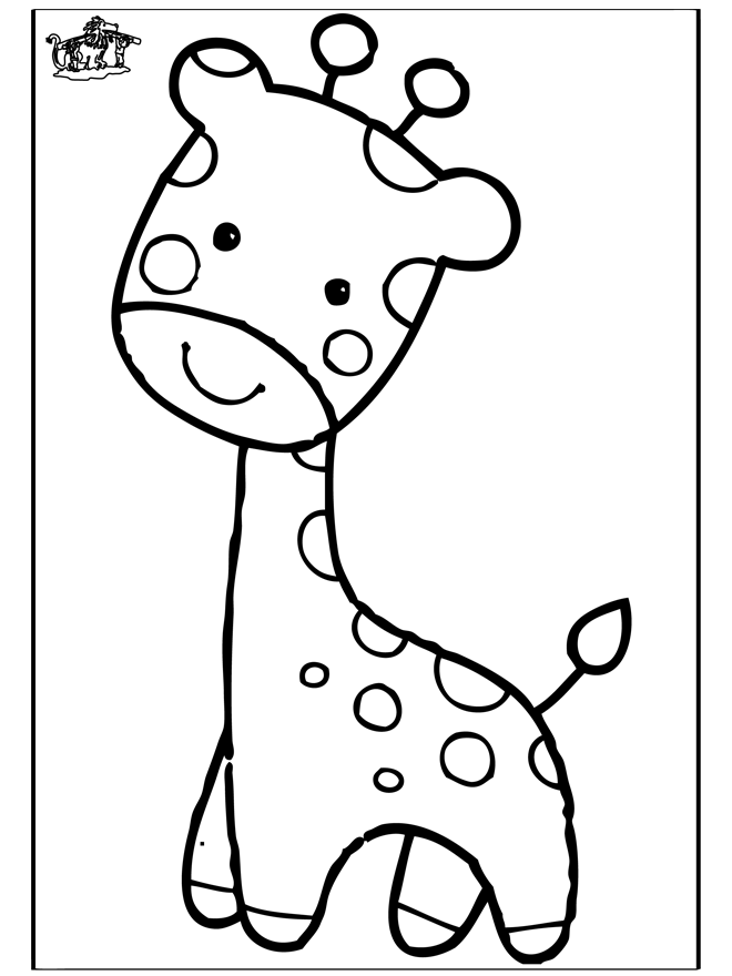 Żyrafa 3 - Ogród zoologiczny